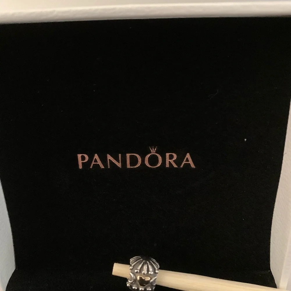 Authentic PANDORA Love and Hugs Charm Bead